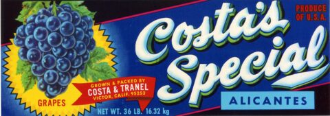 Costa s Special